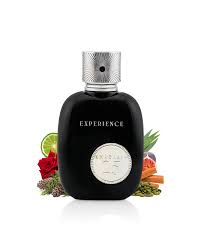 Khadlaj 25 Experience - Clone of Le Male Parfum