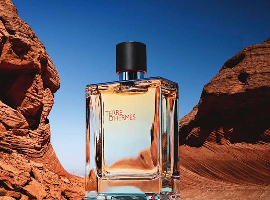 Hermes - Terre D'Hermes